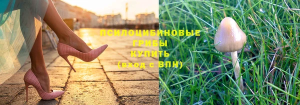 ешки Алексин